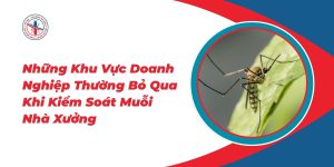 Nhung-Khu-Vuc-Doanh-Nghiep-Thuong-Bo-Qua-Khi-Kiem-Soat-Muoi-Nha-Xuong