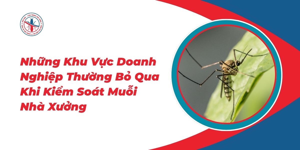 Nhung-Khu-Vuc-Doanh-Nghiep-Thuong-Bo-Qua-Khi-Kiem-Soat-Muoi-Nha-Xuong