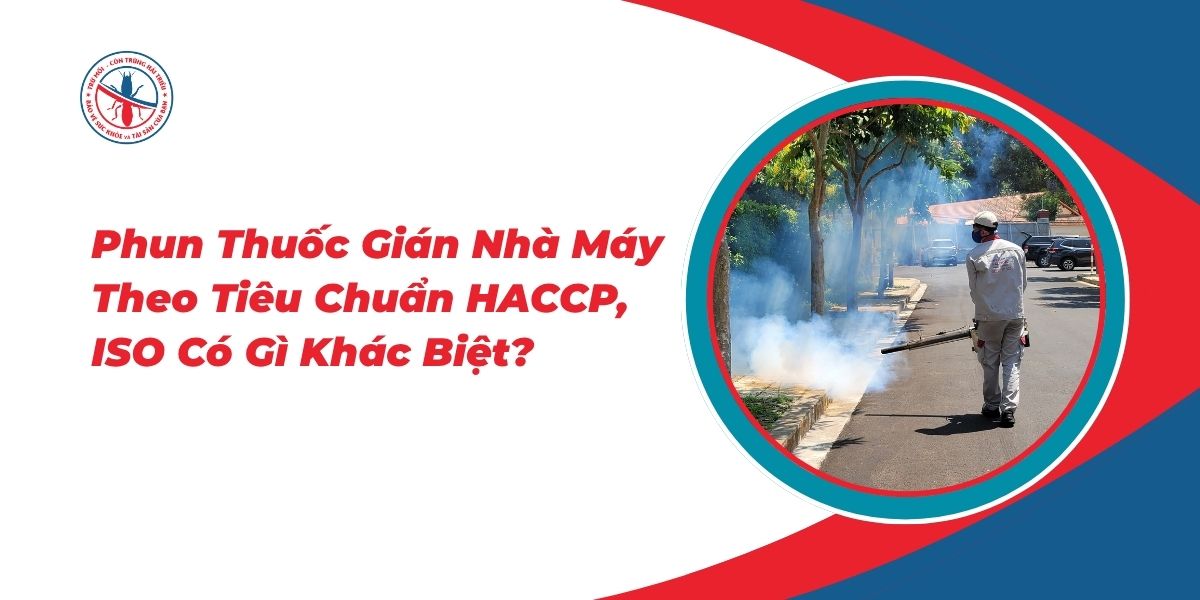 Phun-Thuoc-Gian-Nha-May-Theo-Tieu-Chuan-HACCP-ISO-Co-Gi-Khac-Biet