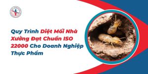 Quy-Trinh-Diet-Moi-Nha-Xuong-Dat-Chuan-ISO-22000-Cho-Doanh-Nghiep-Thuc-Pham