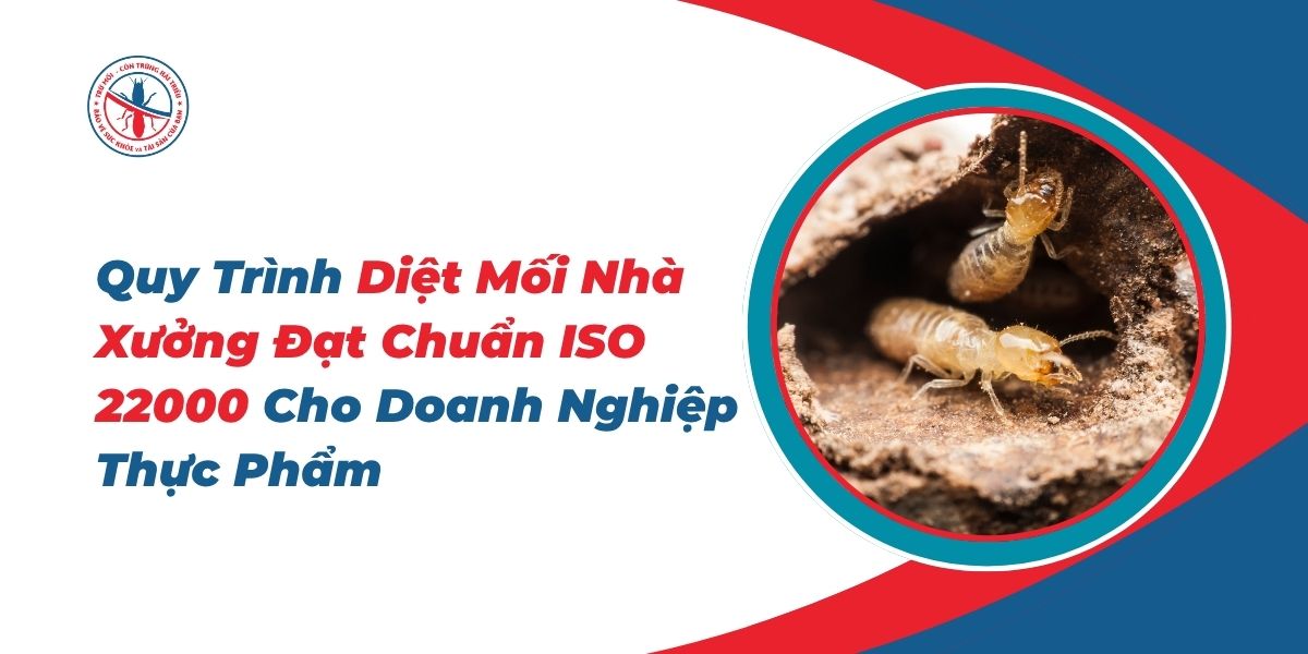 Quy-Trinh-Diet-Moi-Nha-Xuong-Dat-Chuan-ISO-22000-Cho-Doanh-Nghiep-Thuc-Pham