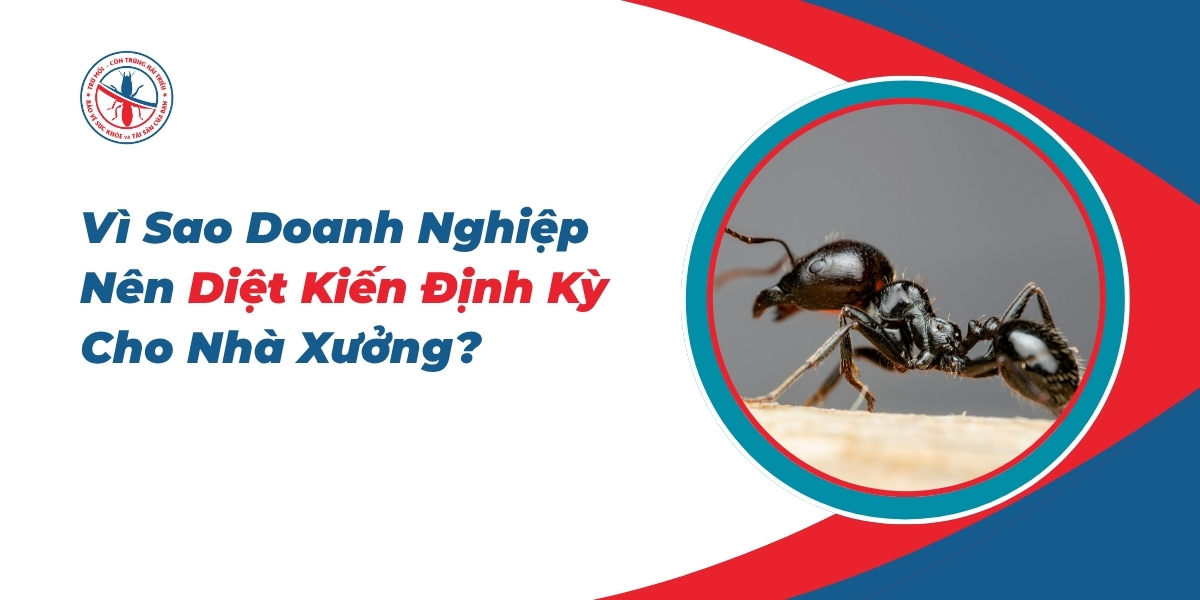Vi-Sao-Doanh-Nghiep-Nen-Diet-Kien-Dinh-Ky-Cho-Nha-Xuong
