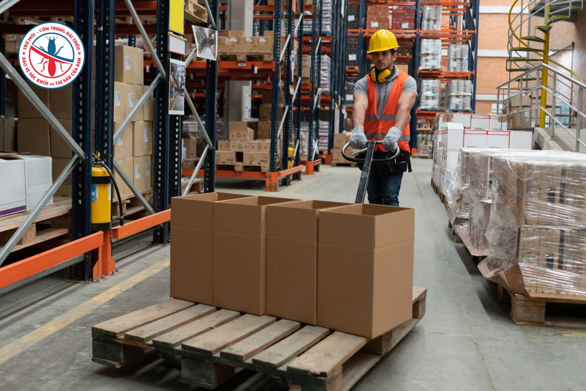 Dịch Vụ Kiểm Soát Chuột Nhà Xưởng Cho Kho Bãi Logistics 2 Vi-Sao-Kho-Bai-Logistics-Can-Mot-Chuong-Trinh-Kiem-Soat-Chuot-Rieng