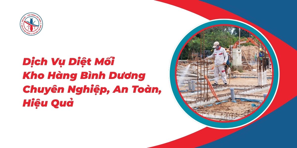 Dich-Vu-Diet-Moi-Kho-Hang-Binh-Duong-Chuyen-Nghiep-An-Toan-Hieu-Qua