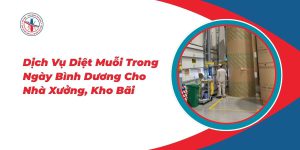 Dich-Vu-Diet-Muoi-Trong-Ngay-Binh-Duong-Cho-Nha-Xuong-Kho-Bai