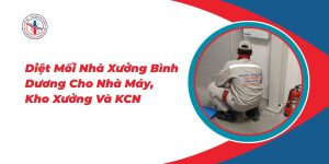 Diet-Moi-Nha-Xuong-Binh-Duong-Cho-Nha-May-Kho-Xuong-Va-Khu-Cong-Nghiep