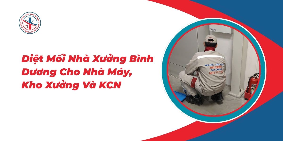Diet-Moi-Nha-Xuong-Binh-Duong-Cho-Nha-May-Kho-Xuong-Va-Khu-Cong-Nghiep